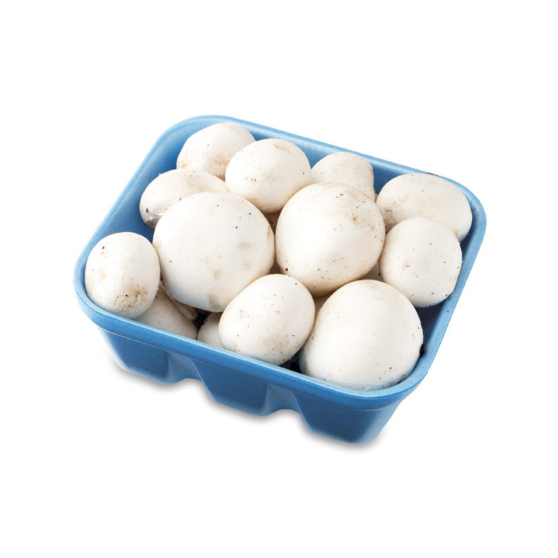 Whole Mushrooms 양송이 버섯