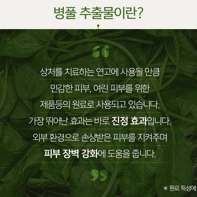 PHYT'S Naturoderm Purifying Treatment 피츠 나튜로덤 새살앰플