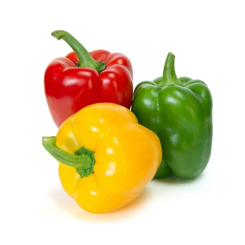 Stoplight Bell Peppers 피망 3 Count