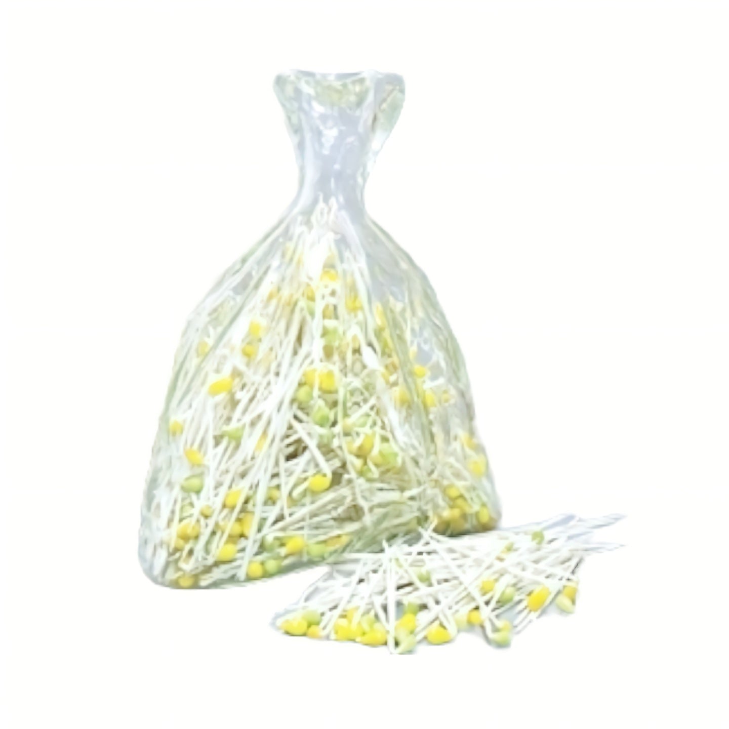Soy Bean Sprouts 콩나물 Approx. 454g