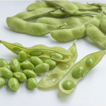 Frozen Edamame 얼린 풋콩 400g