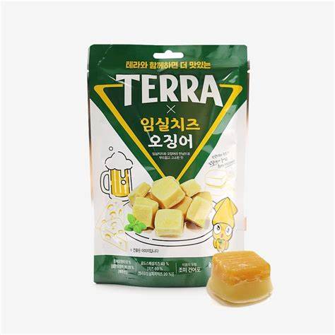 TERRA X Cheese Squid Snack 테라 임실치즈 오징어 100G