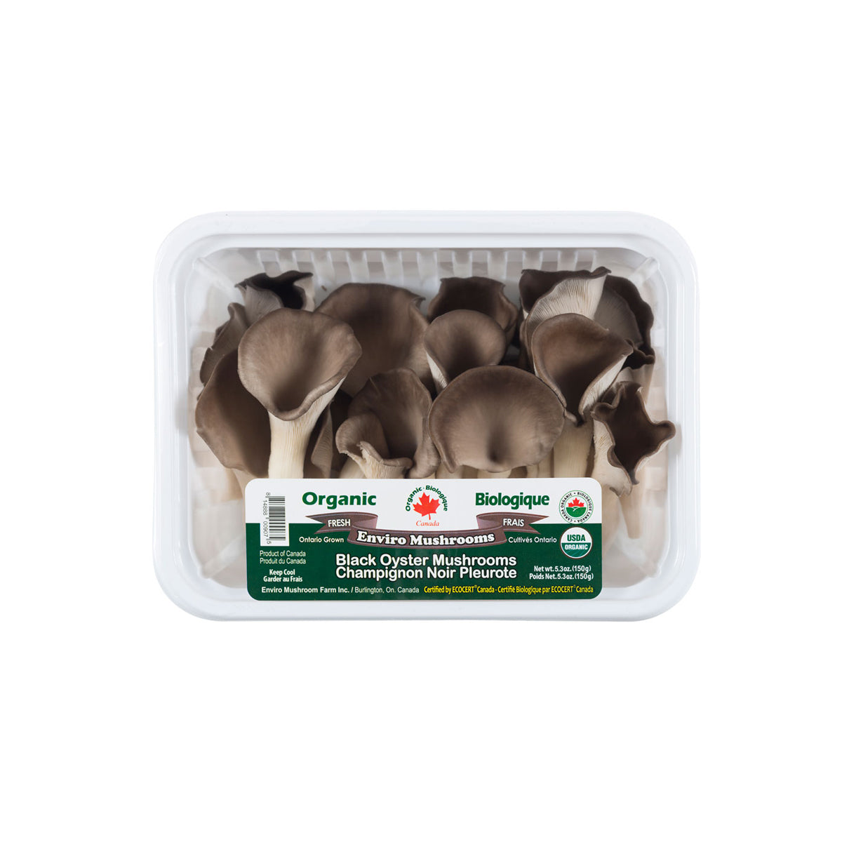 Organic Black Oyster Mushroom 유기농 느타리 버섯 150g