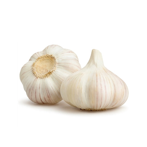 Garlic 마늘 5 Count