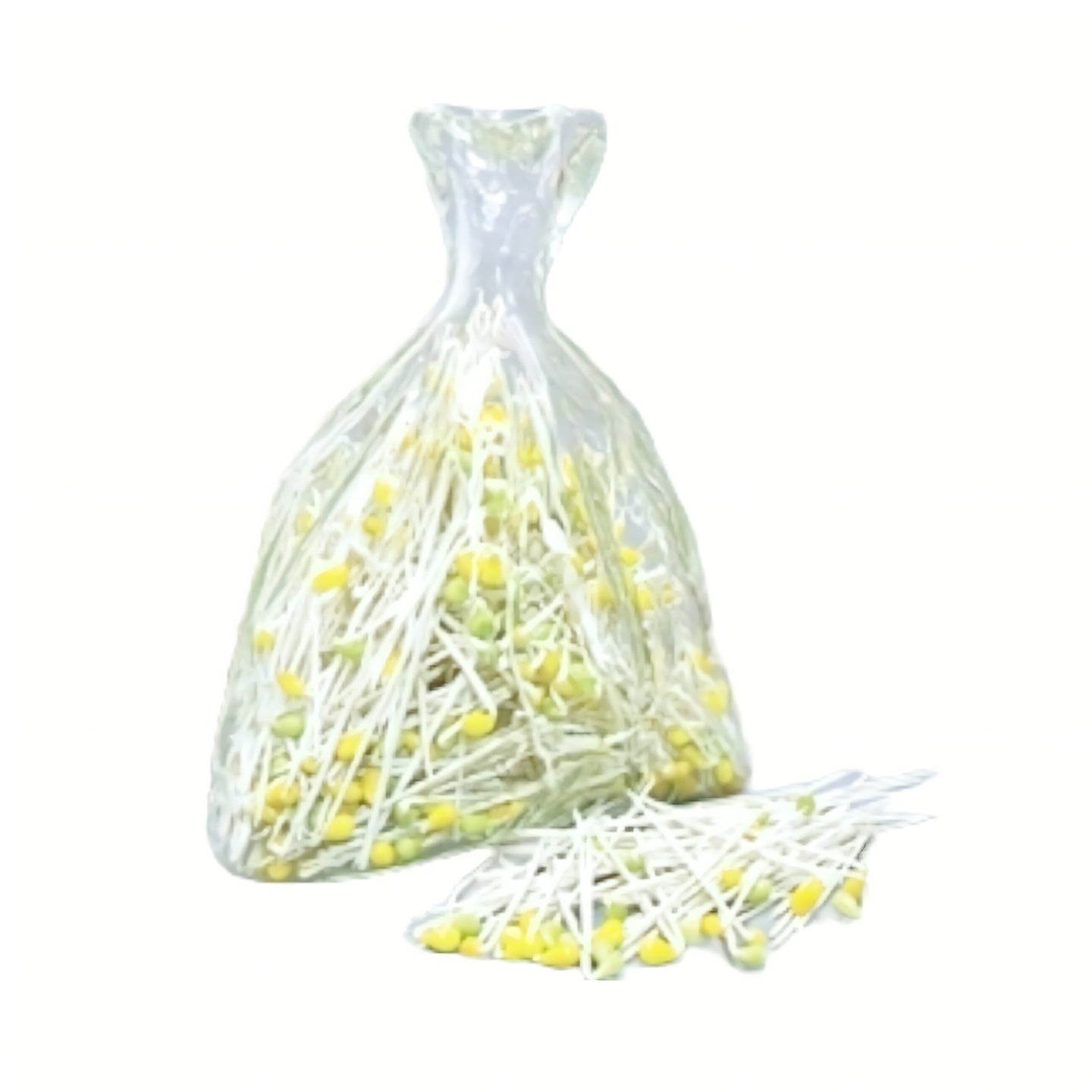 Soy Bean Sprouts 콩나물 Approx. 500g