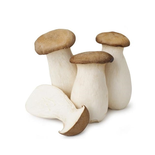 King Oyster Mushroom 새송이 버섯 400g – NUBON MARKET