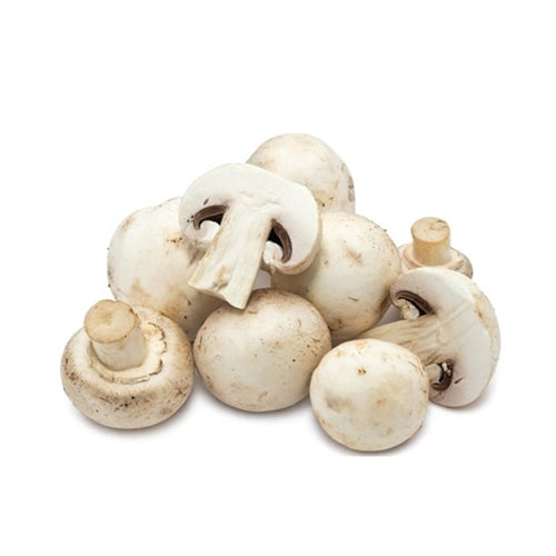 Whole Mushrooms 양송이 버섯