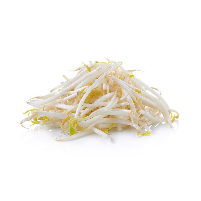 Bean Sprouts 숙주나물 Approx. 500g
