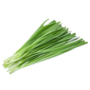 Chives 부추 1 Bunch